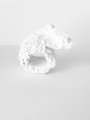 Carousel Ring